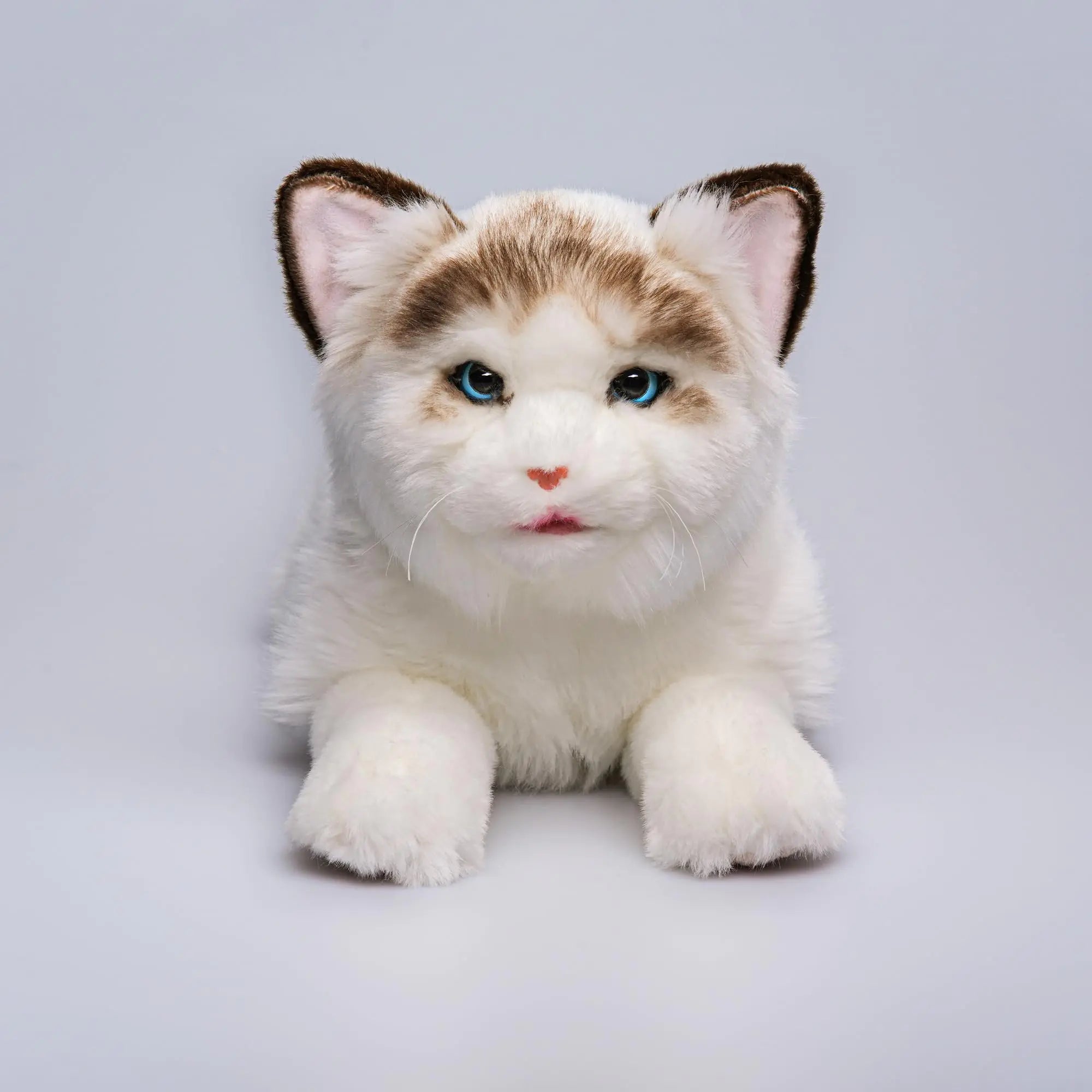 Robot Cat
